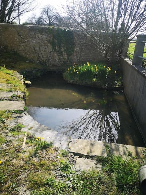 Gite Spacieux Et Chaleureux Sainte-Mere-Eglise Luaran gambar